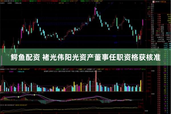 鳄鱼配资 褚光伟阳光资产董事任职资格获核准